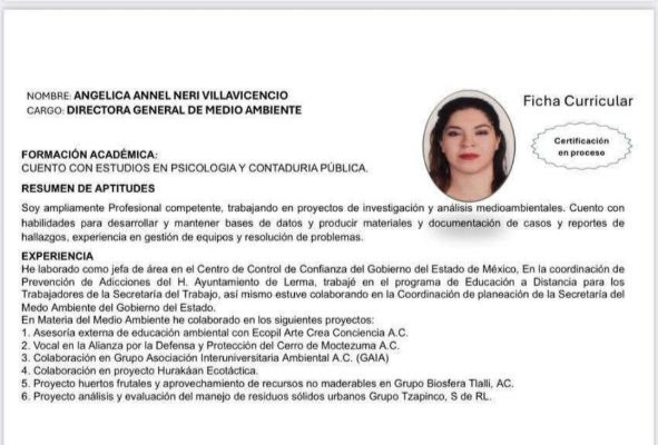 La directora proviene del Partido Verde y se ha abocado a responsabilidades administrativas 