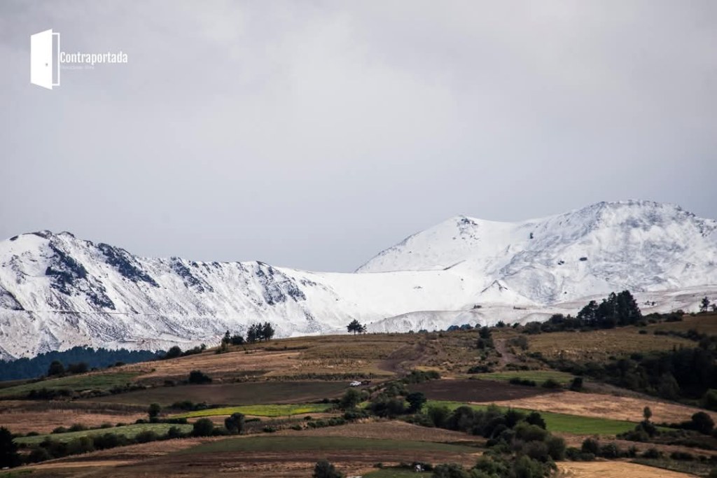 Alertan: se triplica la pérdida de bosque en Nevado de&nbsp;Toluca