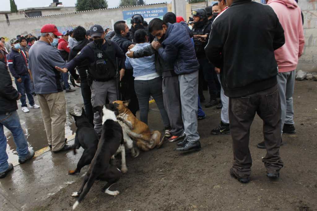 Piden representantes del norte de Toluca solución al problema de animales&nbsp;callejeros